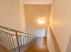 Blk 134 Petir Road (Bukit Panjang), HDB Executive #557487971